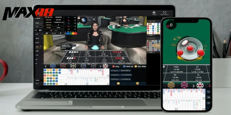 Xóc đĩa live chơi cùng Dealer cuốn hút từng giây phút Xóc đĩa live chơi cùng Dealer cuốn hút từng giây phút