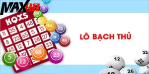 Cách nuôi lô bạch thủ đơn giản, mang đến hiệu quả cao nhất